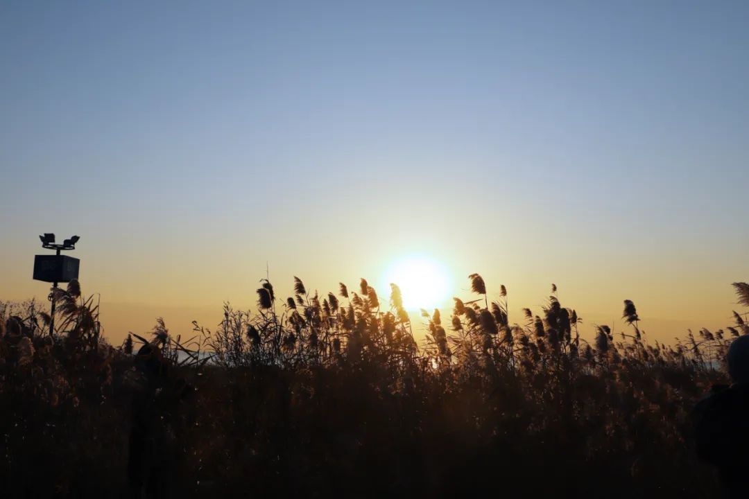 太湖西山岛冬季旅游攻略,苏州太湖西山岛有什么玩的