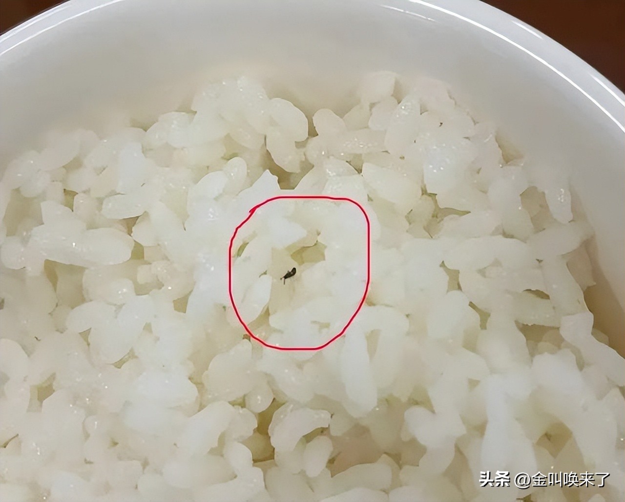 形象碎了一地!“啤酒大王”成都公司的食堂火了