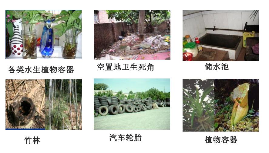 预防控制登革热最佳的措施是灭蚊,登革热的症状及预防措施