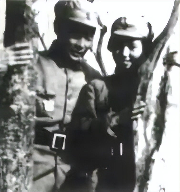 陈毅和张茜是什么电视剧,陈毅和张茜影视剧