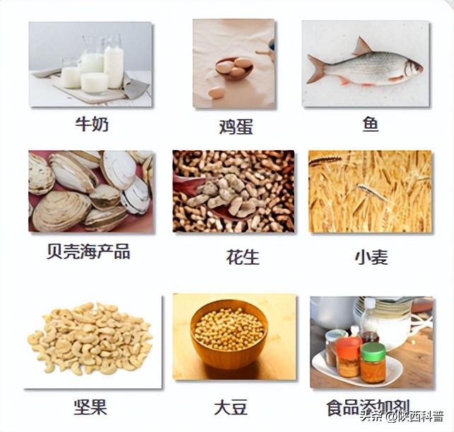 世界哮喘日义诊关注哮喘儿童,第25届世界哮喘日义诊暖人心