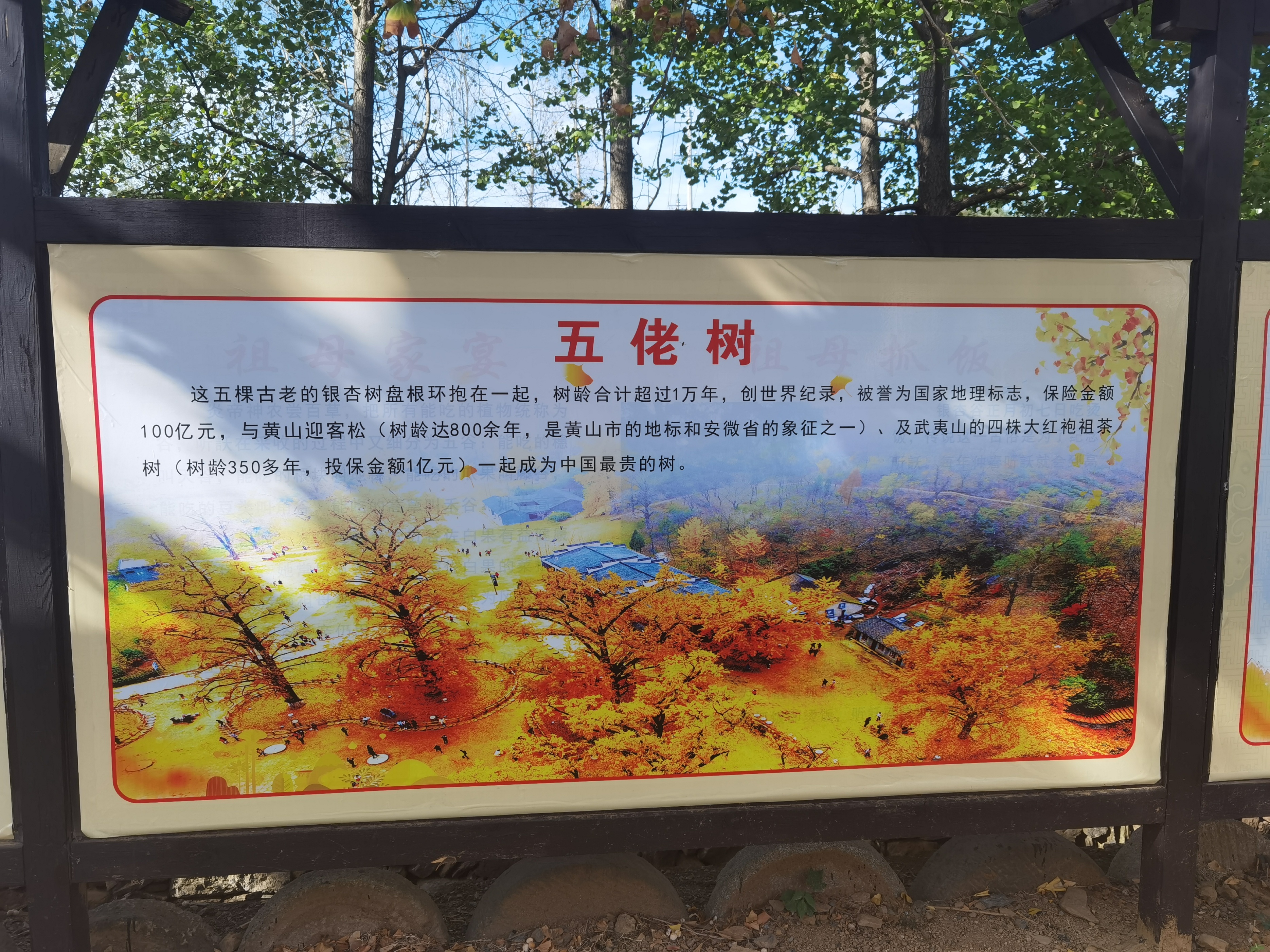 随州是网红城市吗,随州有气质的网红