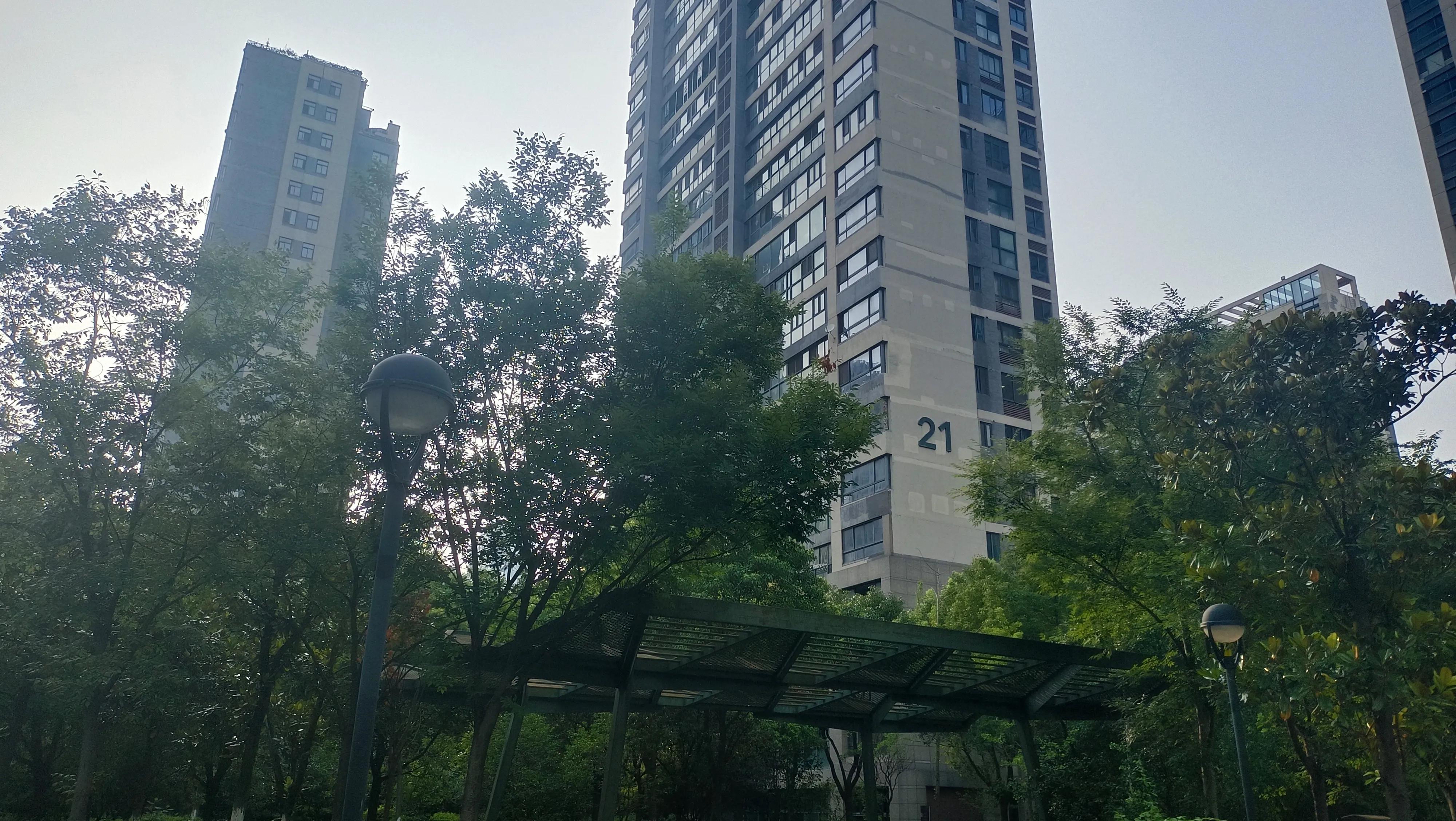 黄芪补气但易上火怎么办,气虚吃黄芪补气上火怎么办