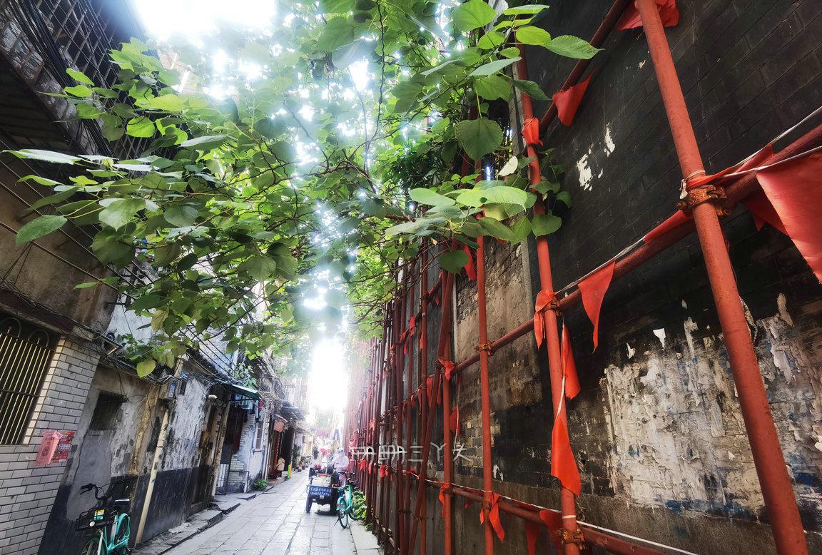 鬼才黄霑先生,鬼才黄霑晚年生活