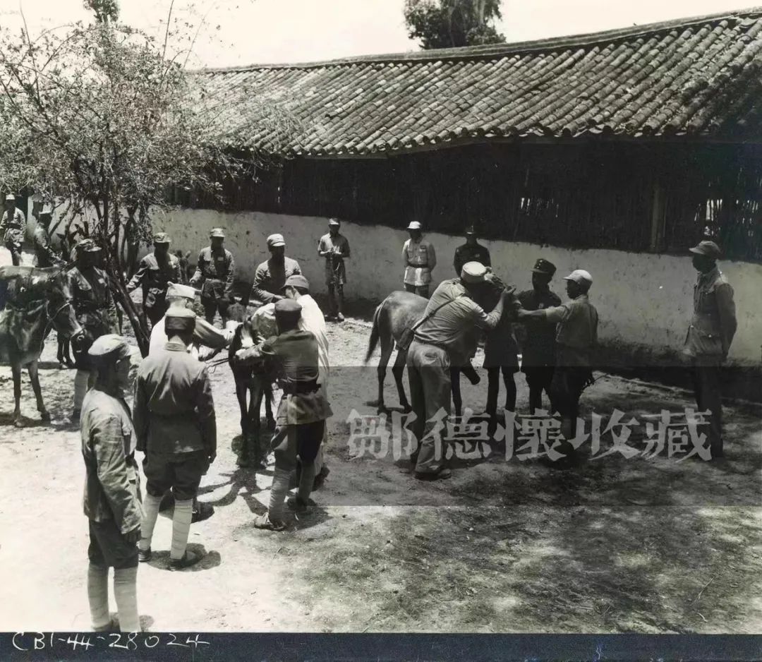 寻找马廷诲:44年后,寻回被遗忘的忠魂