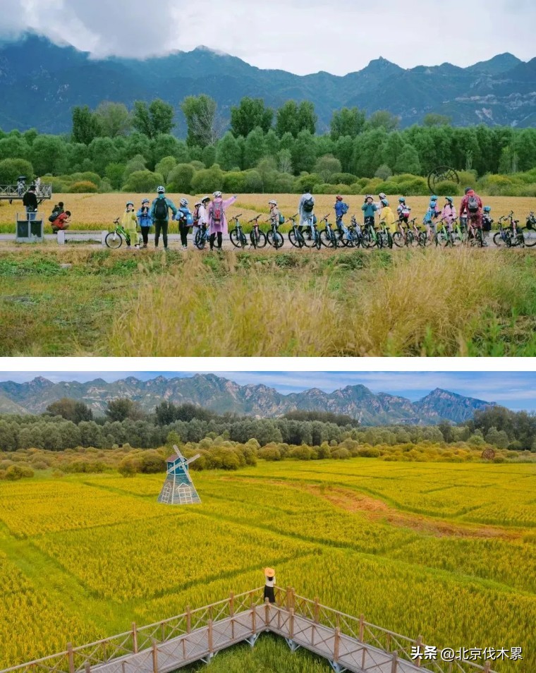 运动萌兽主题公园冬季,天气暖和了野地里撒欢