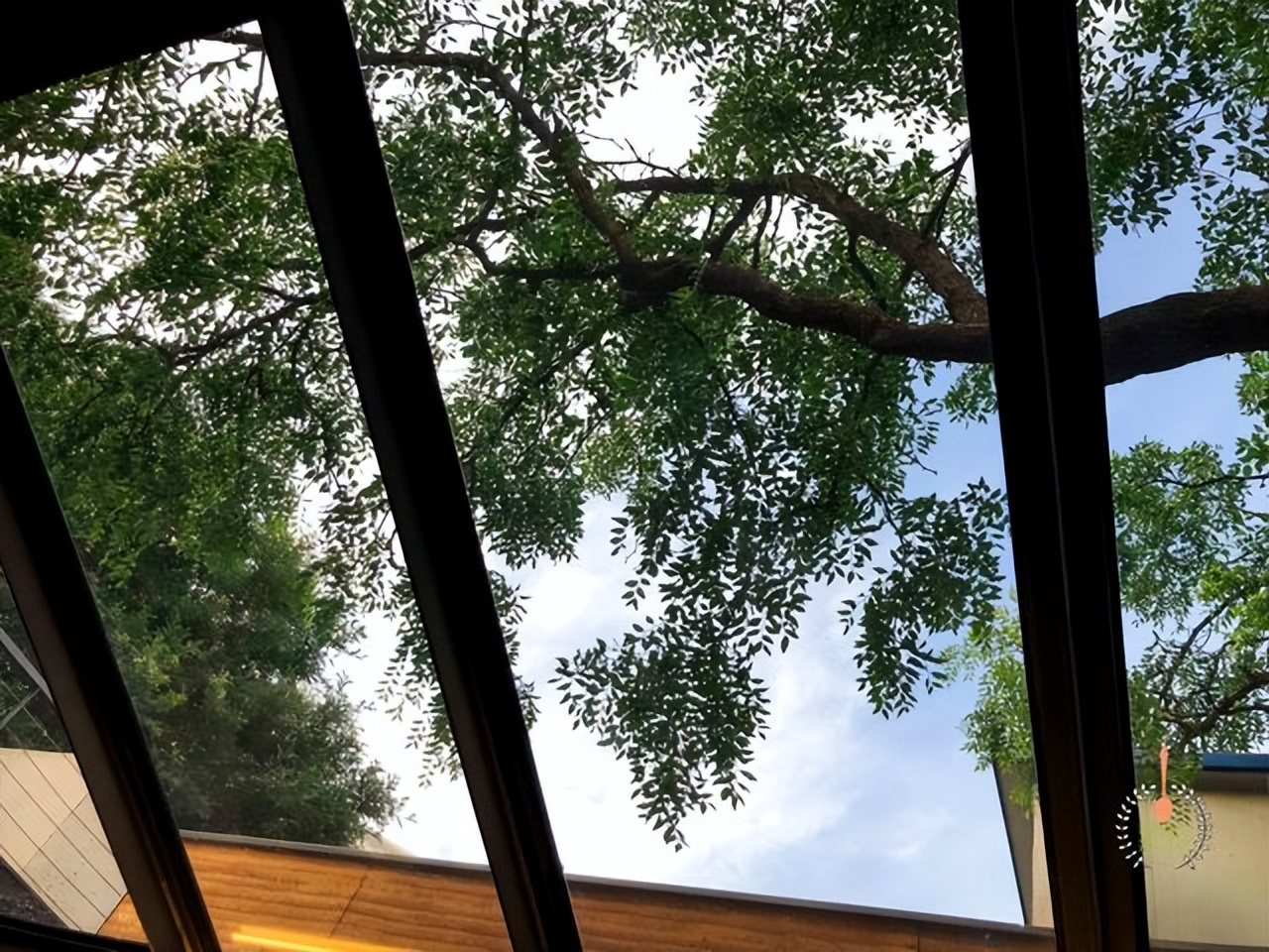 云南高端菜,云南菜高端菜