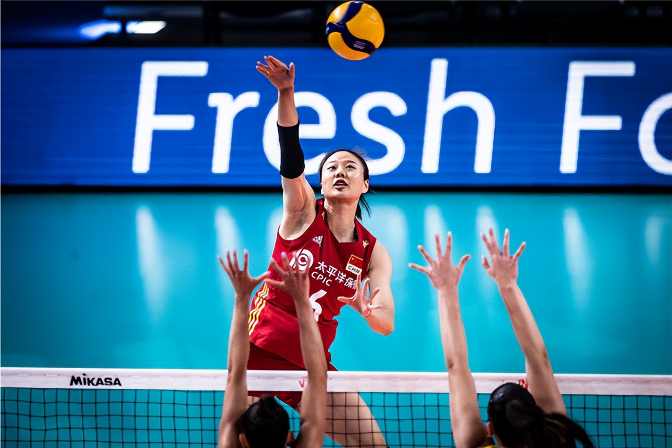 中国女排14人名单最新消息,中国女排14人最新名单