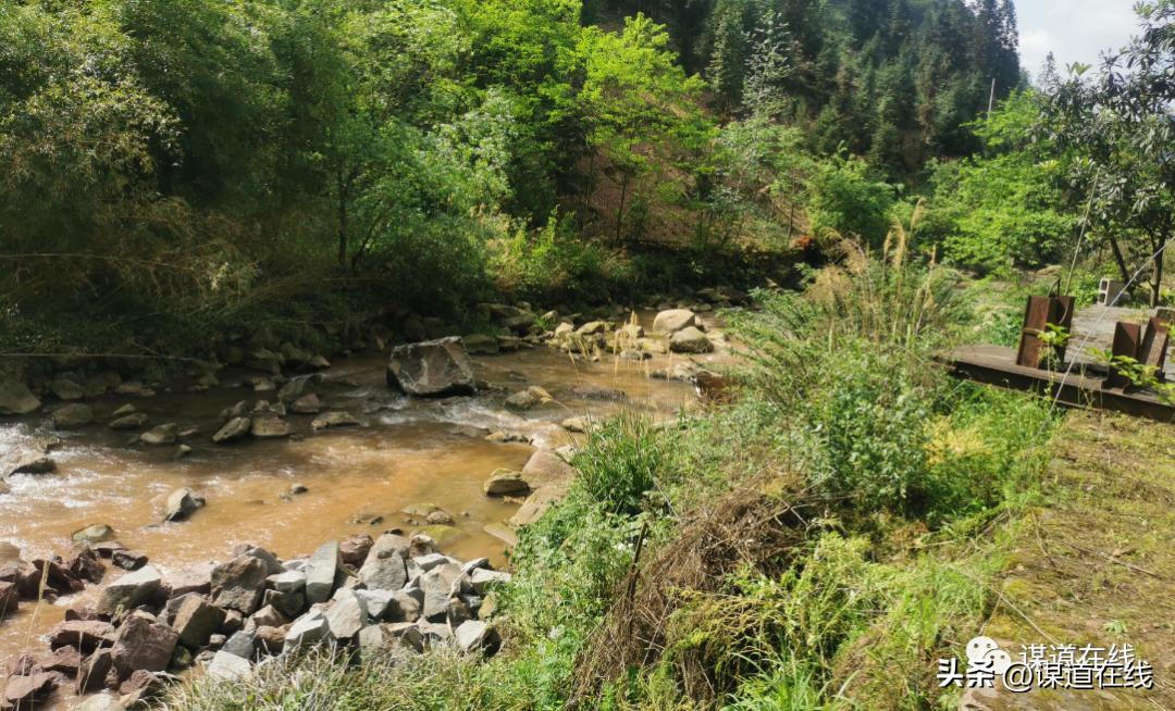 关于候鸟归巢的文章,候鸟回巢的句子