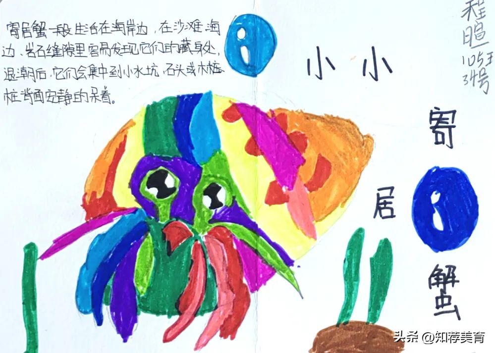 探寻桑蚕文化感受桑蚕之美,走进蚕桑研究所探寻蚕桑文化