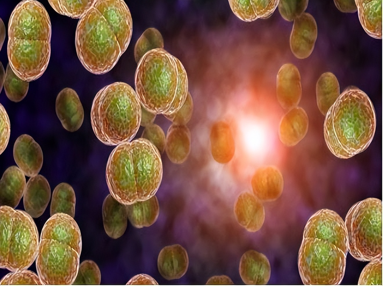 哪些疾病可以通过性传播,可以通过性传播的疾病