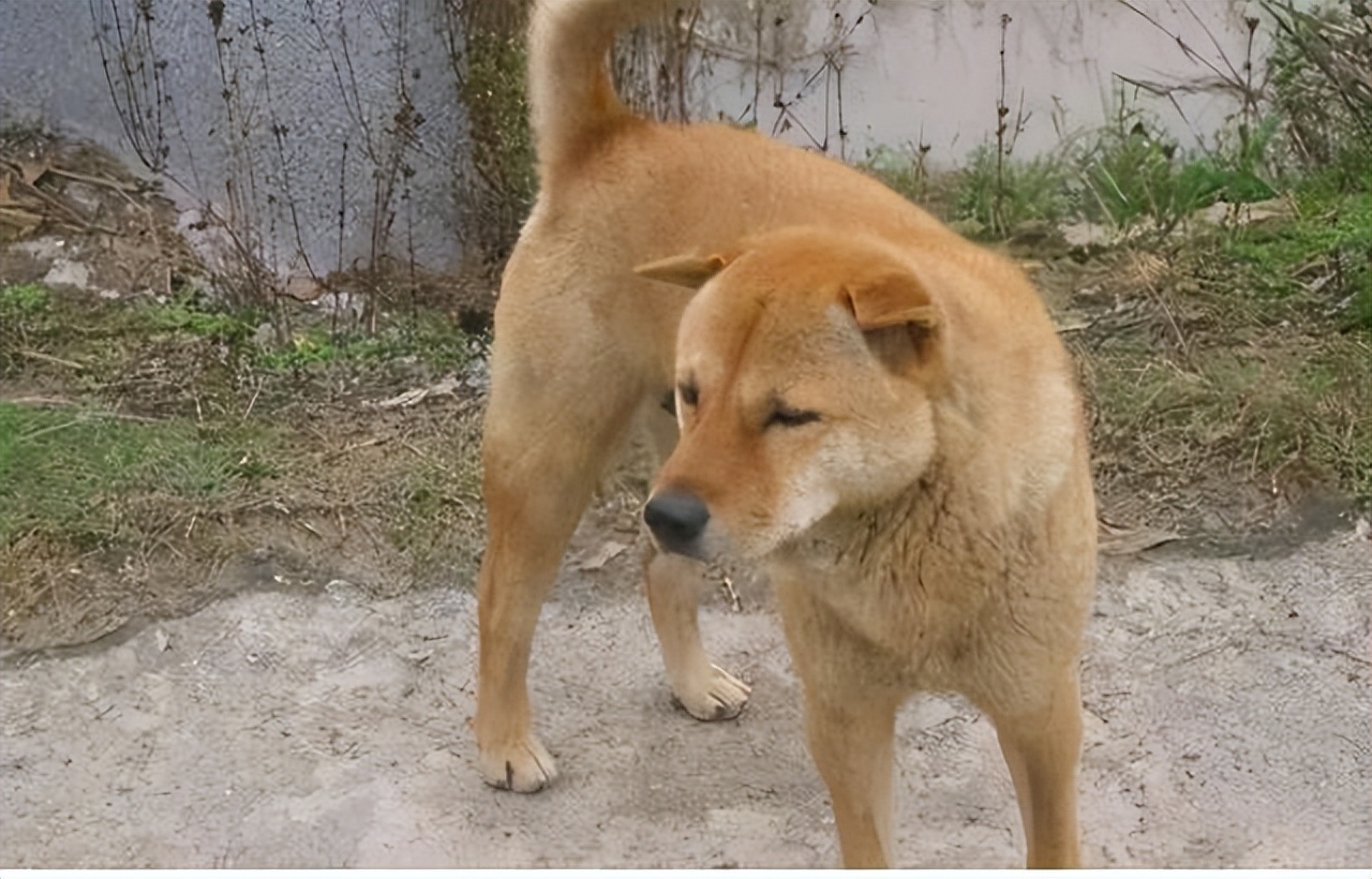 怀念八零年代的童年,八零后的我们带大家回忆童年