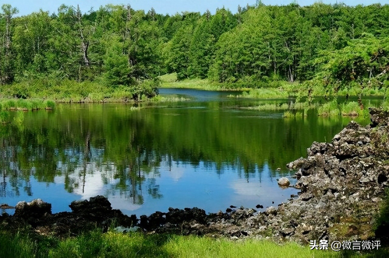 北京银环蛇,北京无毒蛇