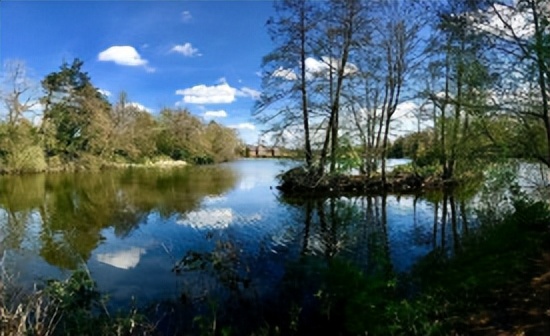 雷丁大学—1998、2005、2009、2011先后四次获得英国女王周年奖