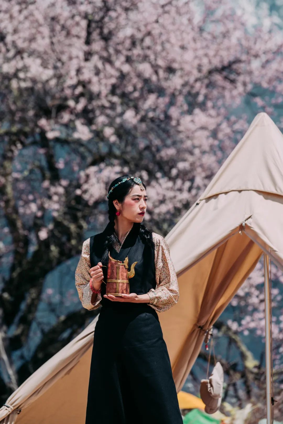 林芝花期预测,林芝桃花最佳观赏时间气温