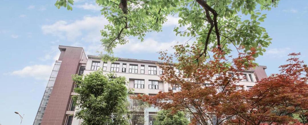 证书见证前行的每一步,荣誉证书见证前行的每一步