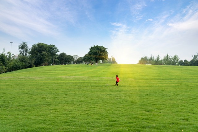 清单思维,清单法思维方法