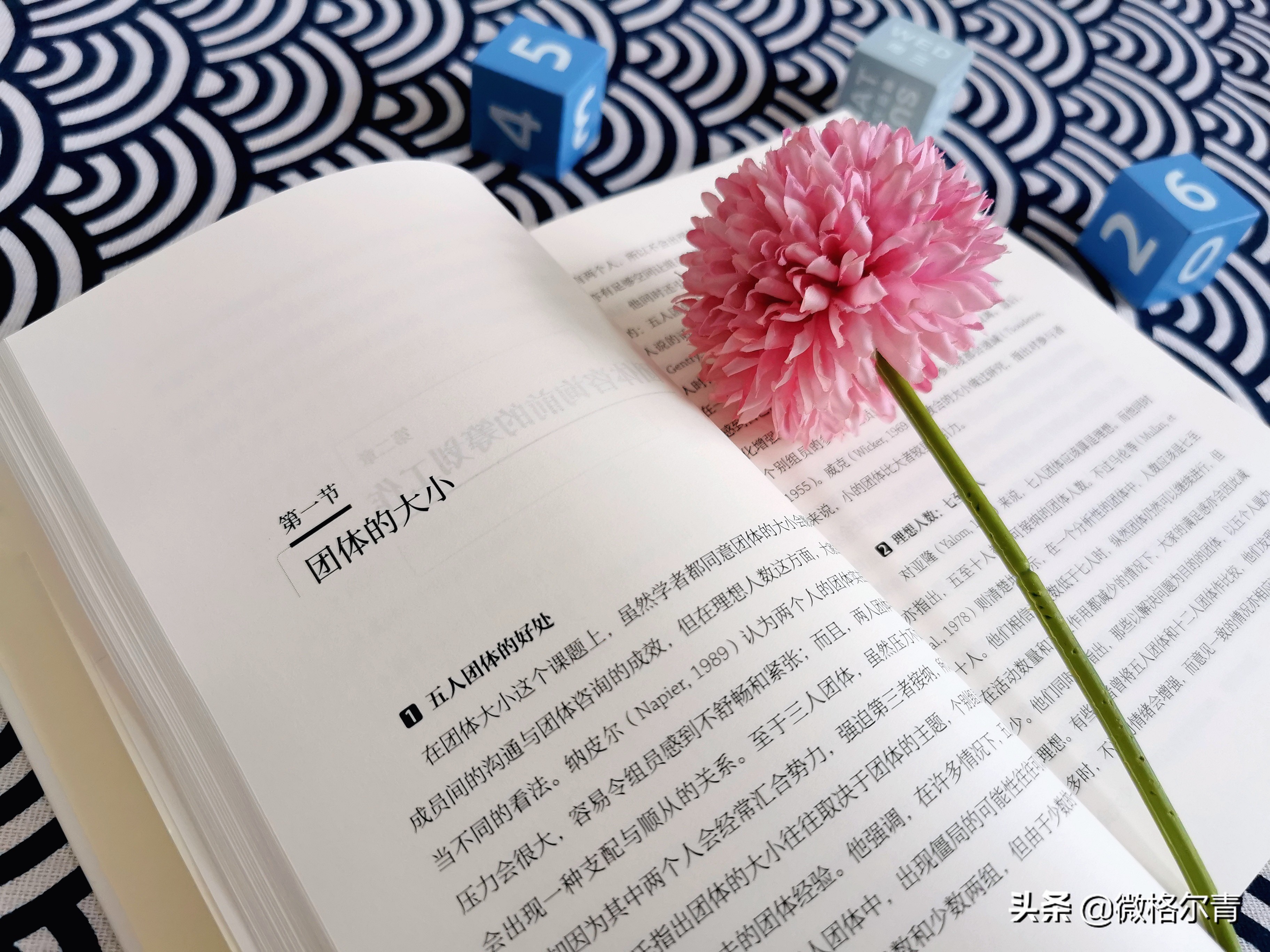 团体咨询与治疗：抱团取暖，彼此成就自我之路