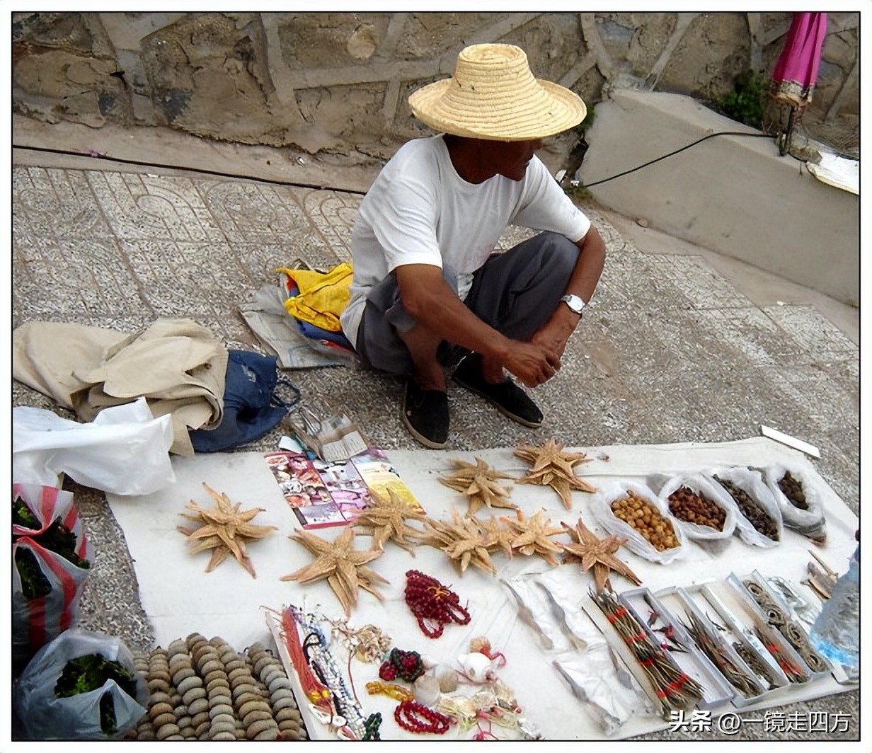 到兴城旅游,兴城怎么去菊花岛旅游