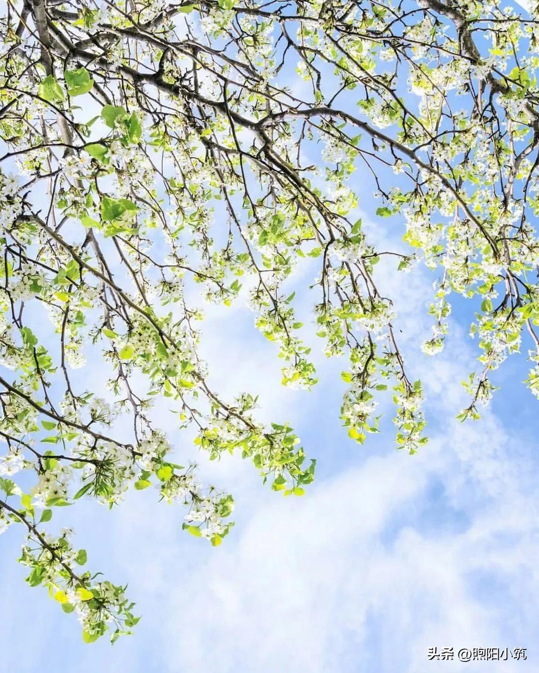 32岁沉迷网游8年,30岁了沉迷网络游戏