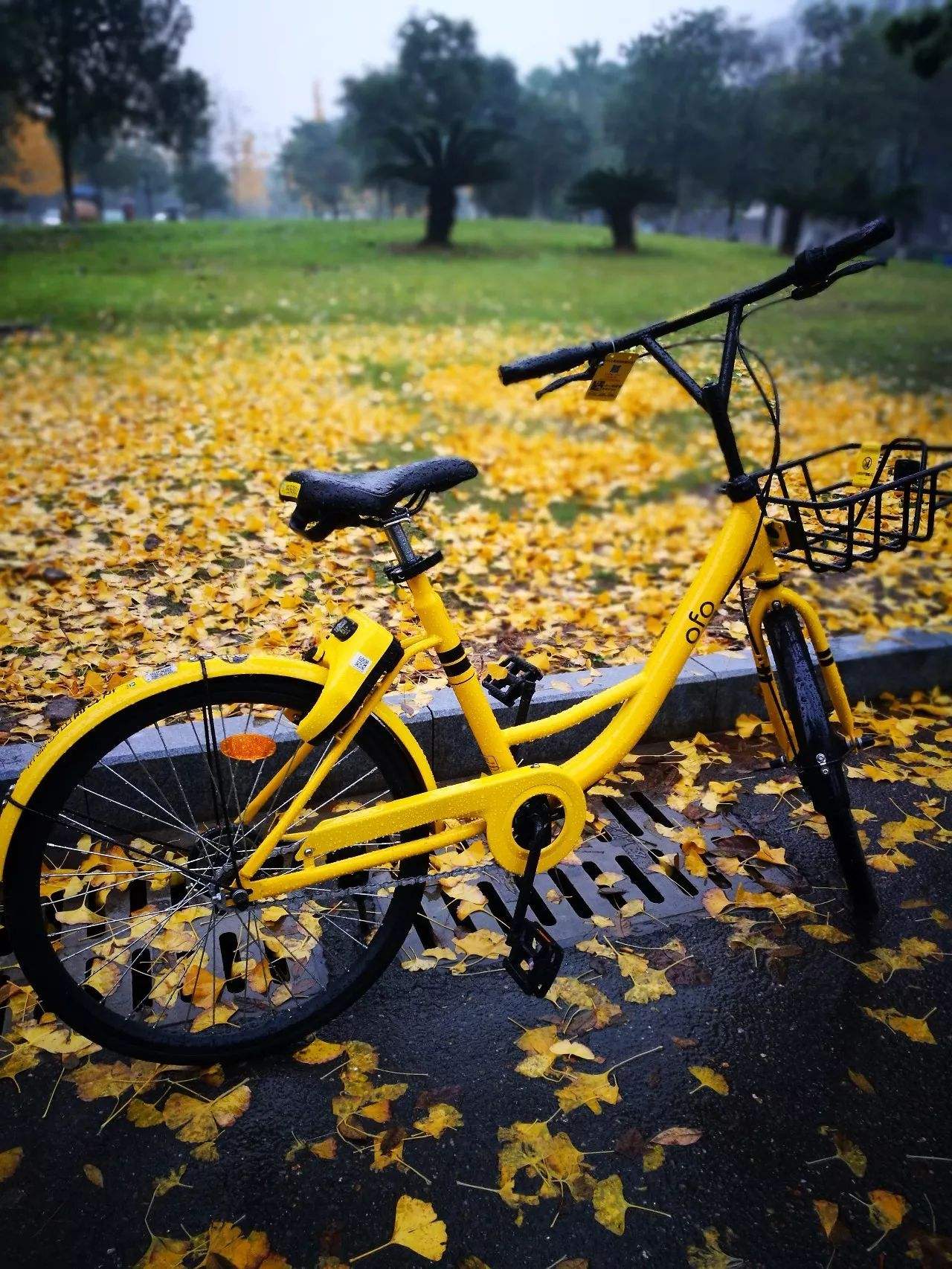 老梁故事汇理财全集,老梁投资记