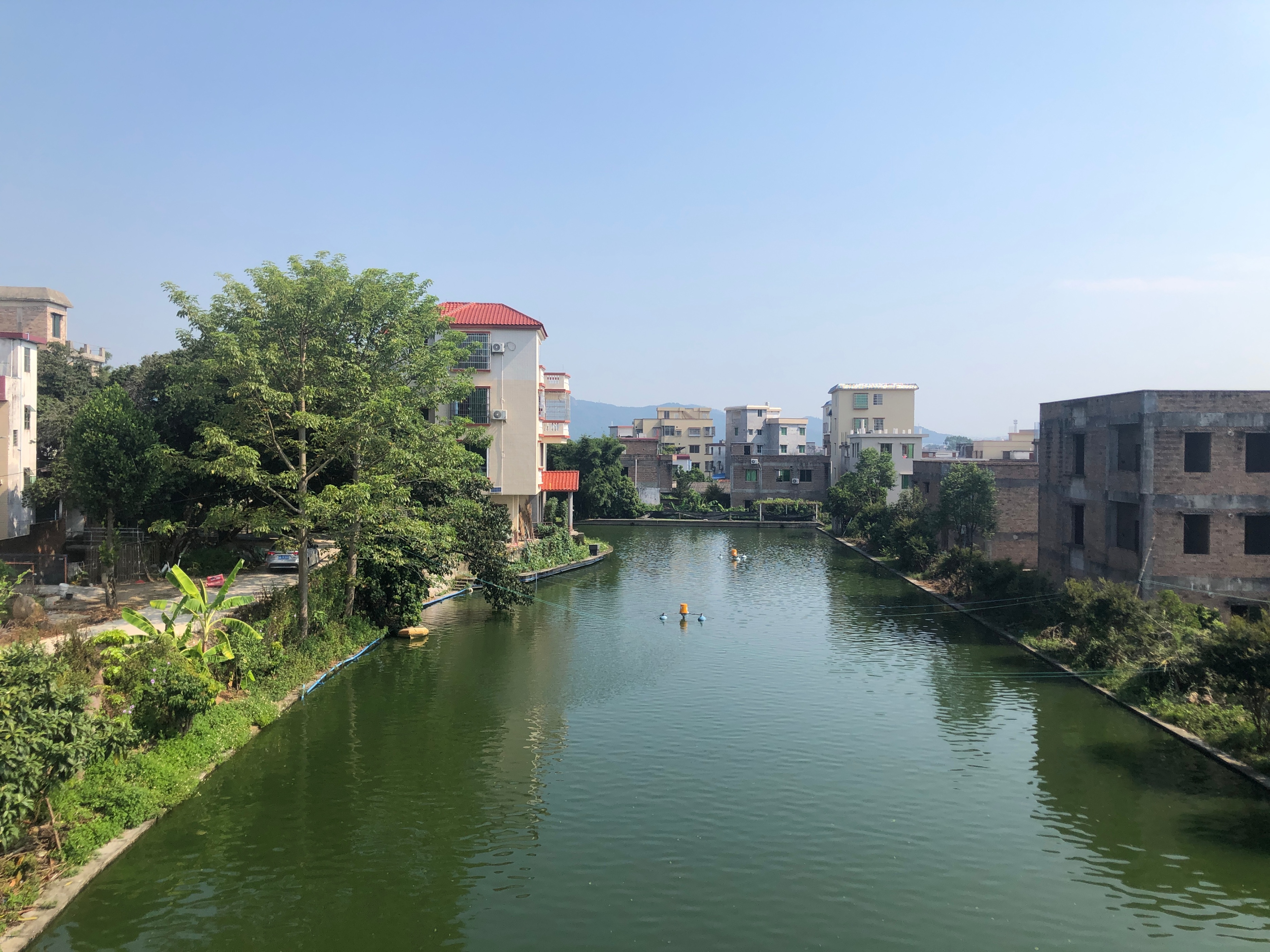 广州农民房怎么这么多,广州最真实的农村房子