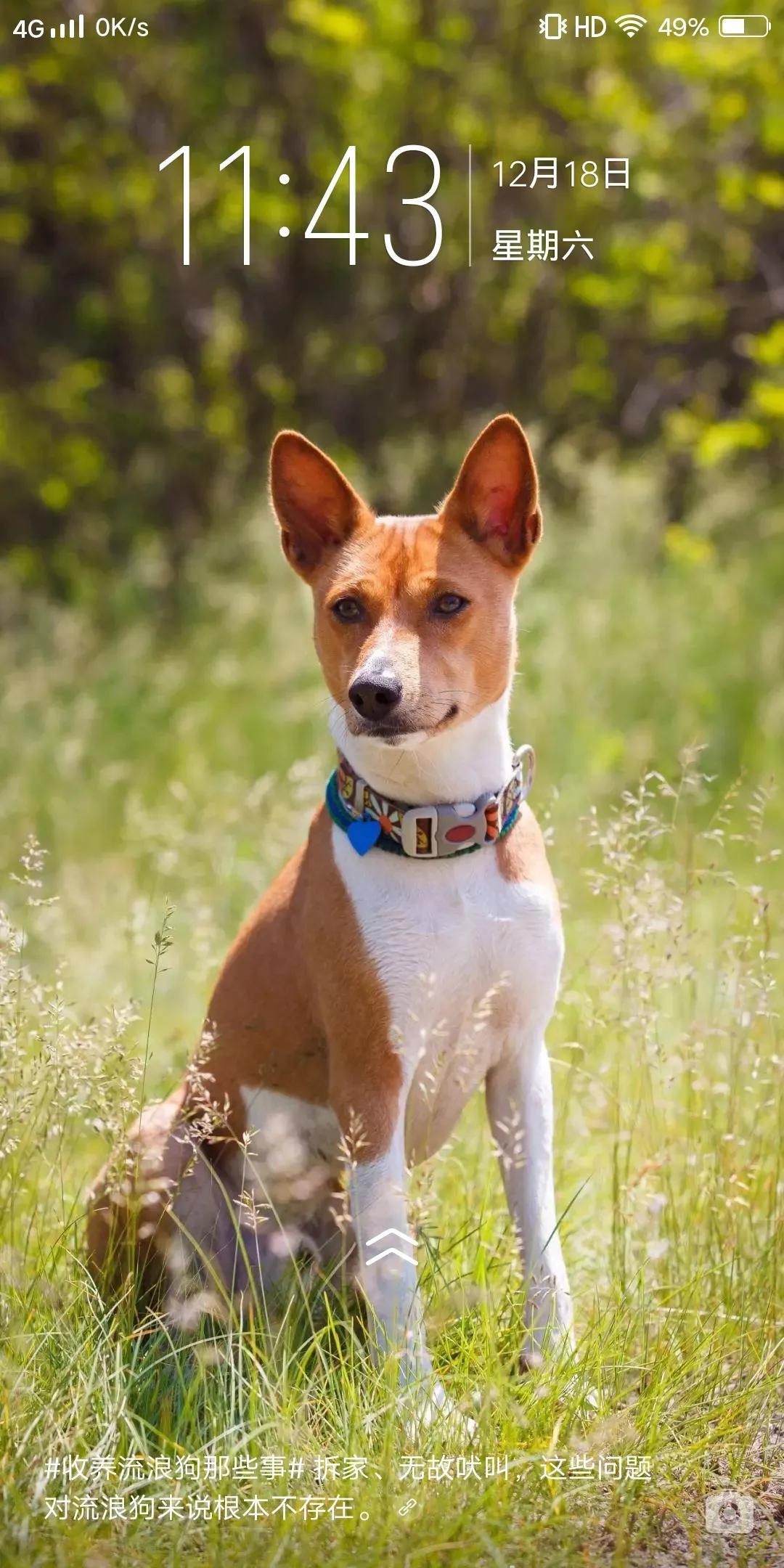 泡崖子的房屋质量,泡崖子房子值得投资吗