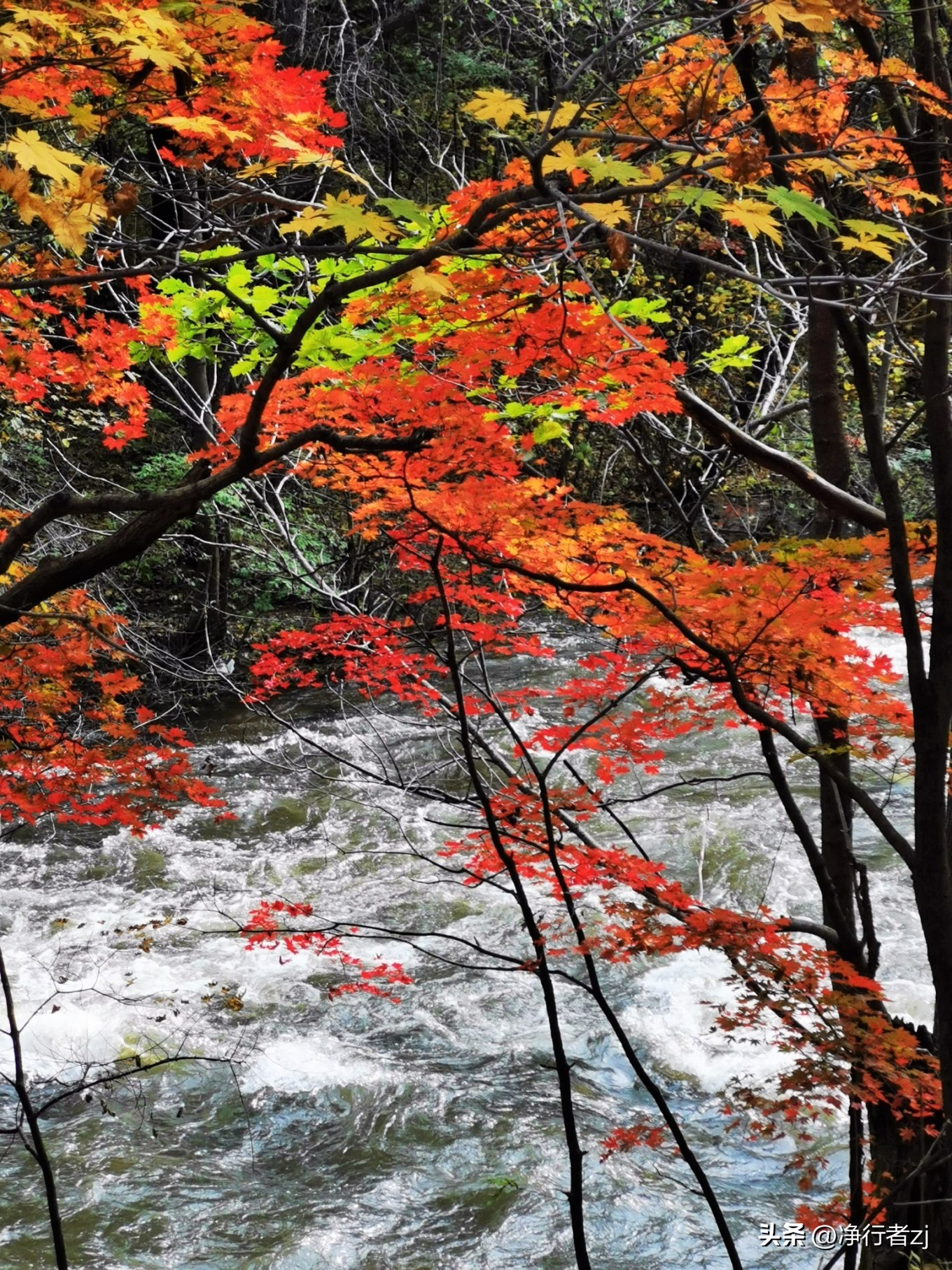 图们江口岸游记,从图们市到牡丹江自驾游