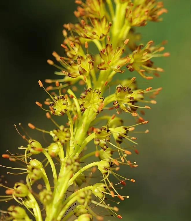 给你全部的温情与热爱,想给你全部的温情和热爱