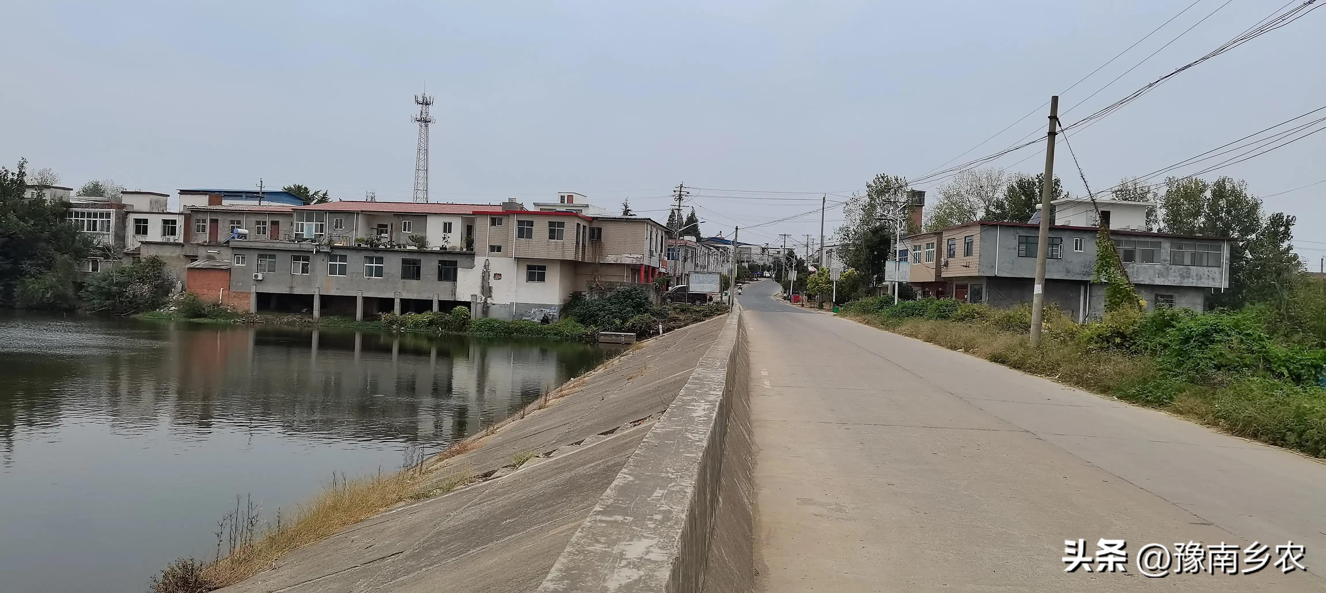 我，干过施工队长，也当过猪贩赚钱，如今卖肉依然是生意兴隆