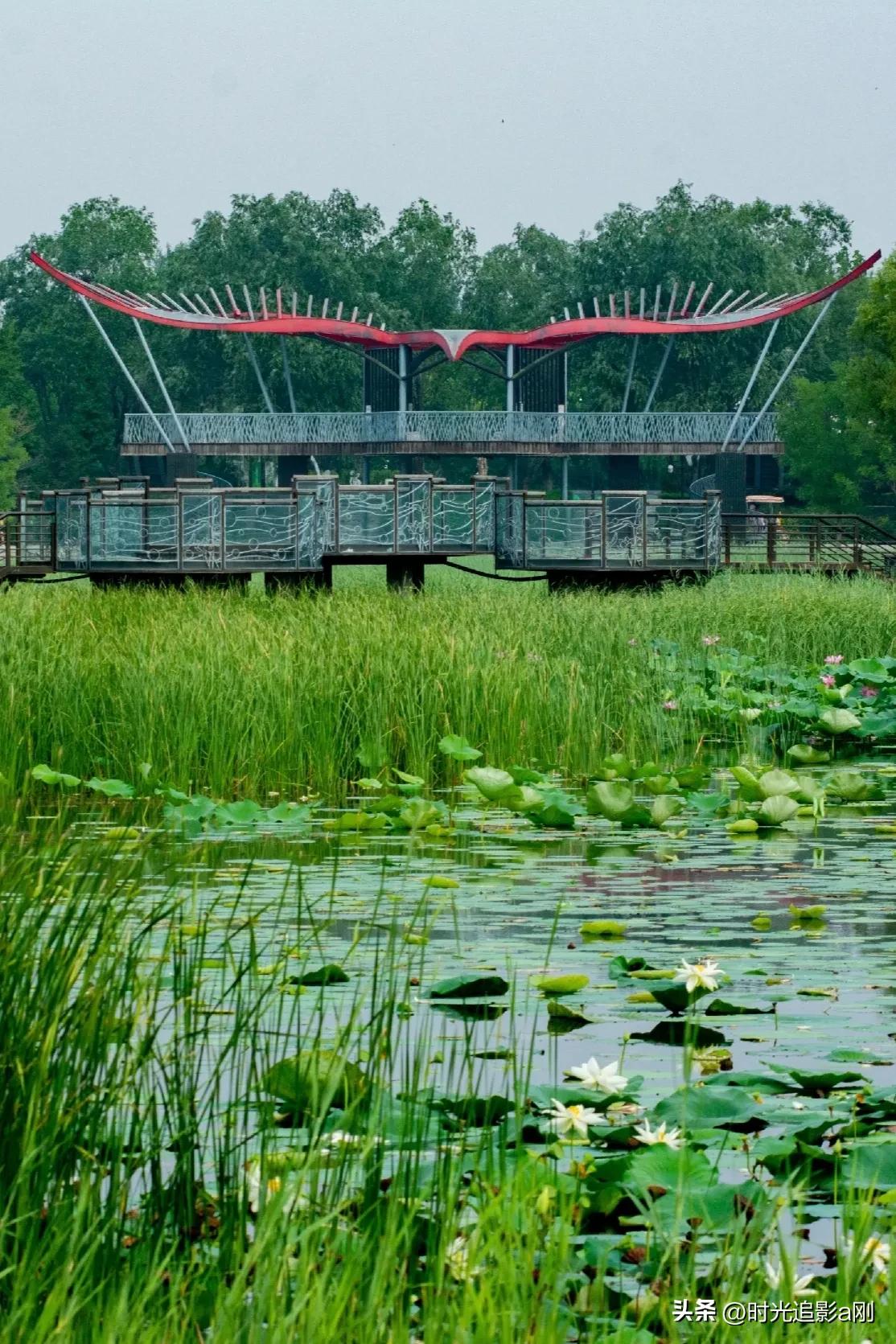 秋日时光音乐会花絮,秋日傍晚公园的美景