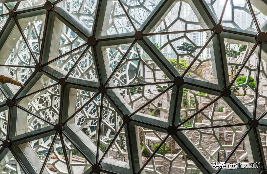 上海自然博物馆建筑设计,上海自然博物馆的设计构思