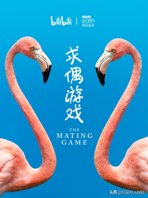 「新春收藏」一键可看风靡全网的年度十*纪大**录片