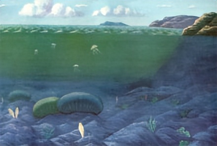 地质年代的划分表格,地质年代的划分依据是什么