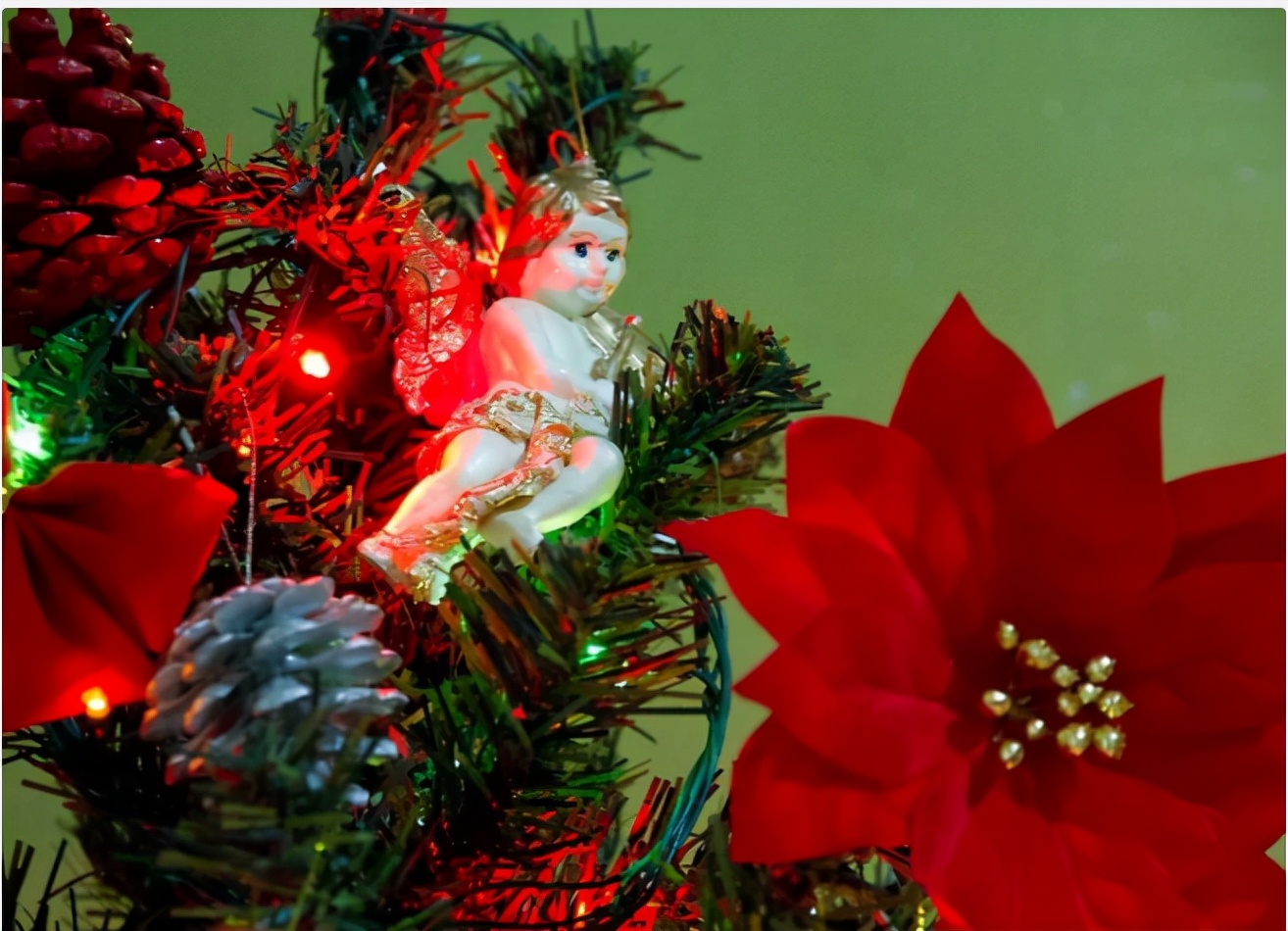 日本圣诞节放几天 (日本圣诞节怎么过)