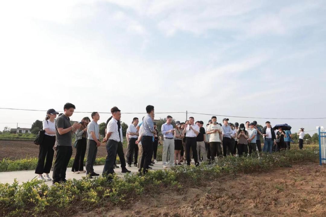 邮储银行持续深化三农金融服务,邮储银行三农活动