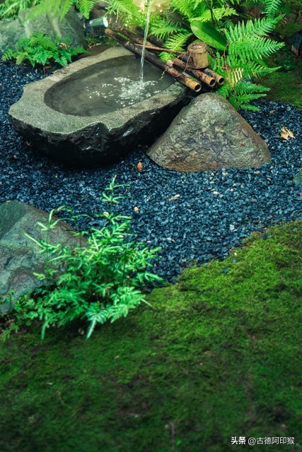 令人心旷神怡的山水画面,令人心旷神怡的自然之景