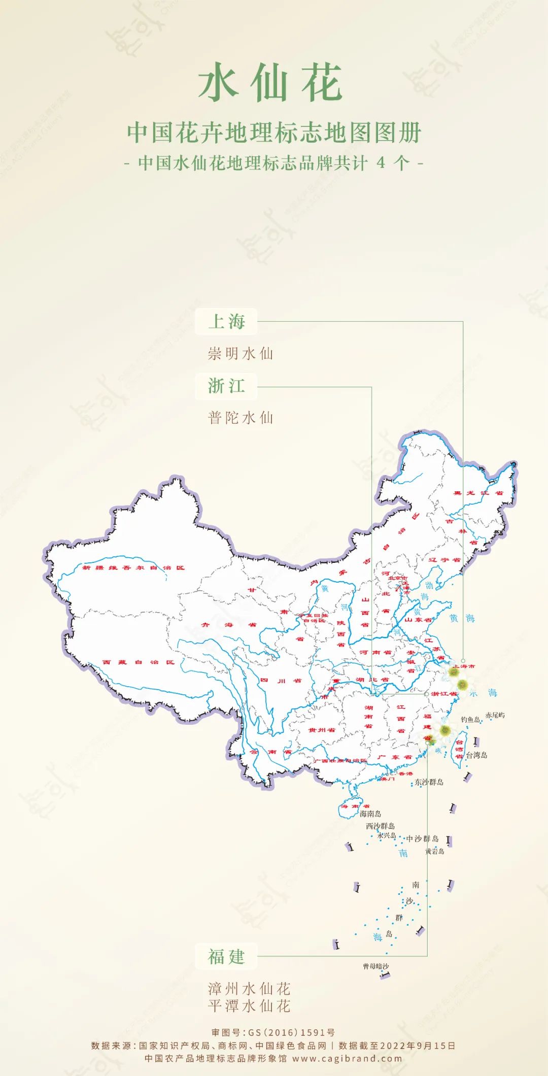 地标馆|水沉为骨玉为肌不“装蒜”的水仙花是真正的水中仙