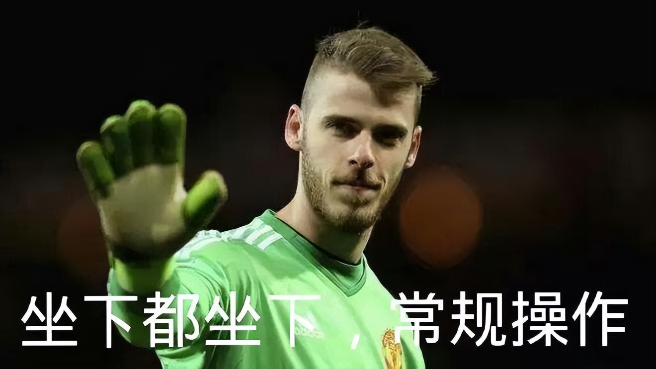 曼联最强门神阵容,曼联最强门神