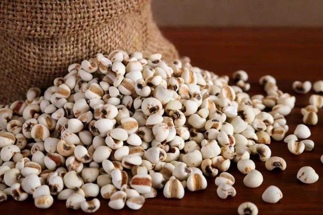 自制护肝蒲公英茶,蒲公英养肝茶饮配方大全