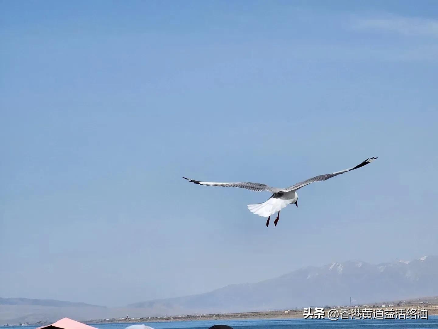 孩子交友不慎该怎么办,孩子交友不慎怎么引导