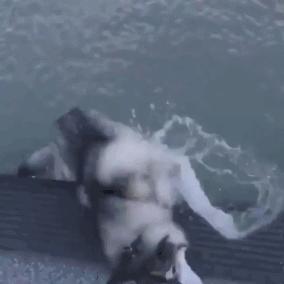 现在女大学生太开放,这么隐私的东西露在外面,男人看了都脸红了