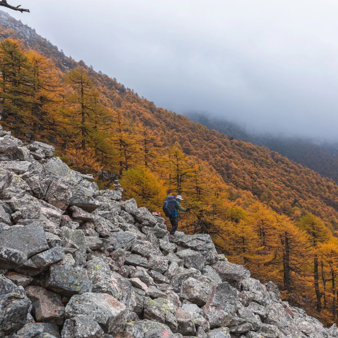 太白山是陕西最高点吗,秦岭最高峰太白山