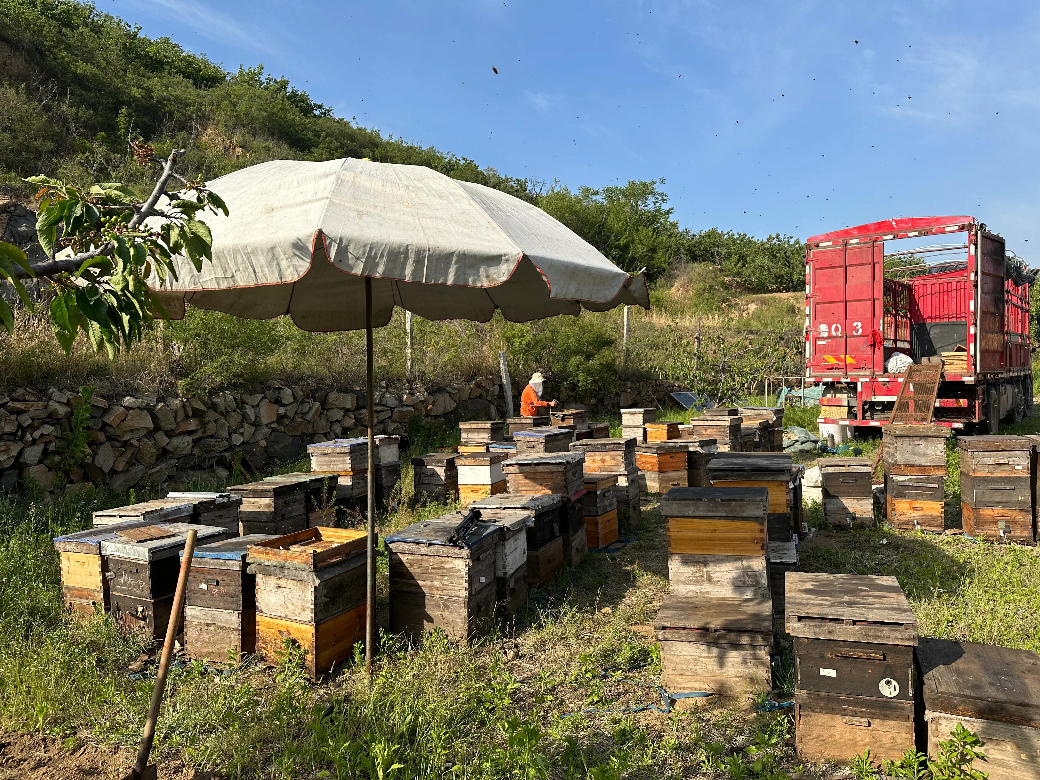 为什么假蜂蜜那么多,商家为什么在蜂蜜里面掺假