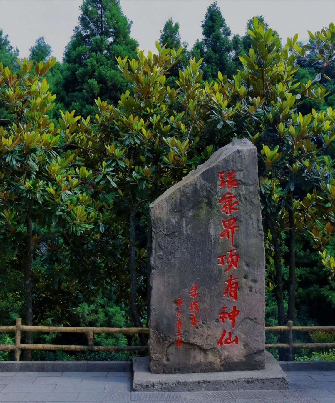 湖南四季中旅国际旅行社怎么样,湖南四季青旅国际旅行社