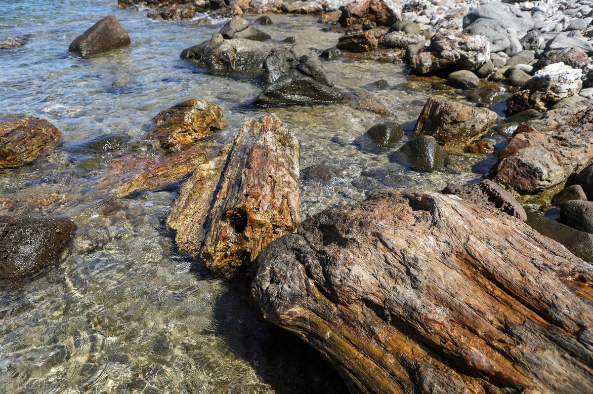 三军可夺气将军可夺心是谁说的,三军可夺气将军可夺心什么意思