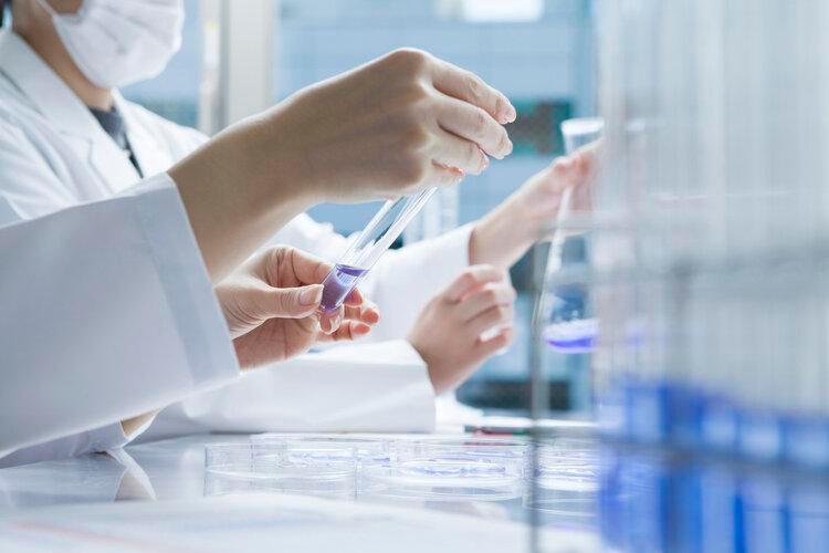 青蒿素抑制癌细胞的增长 (青蒿素16小时杀死癌细胞)