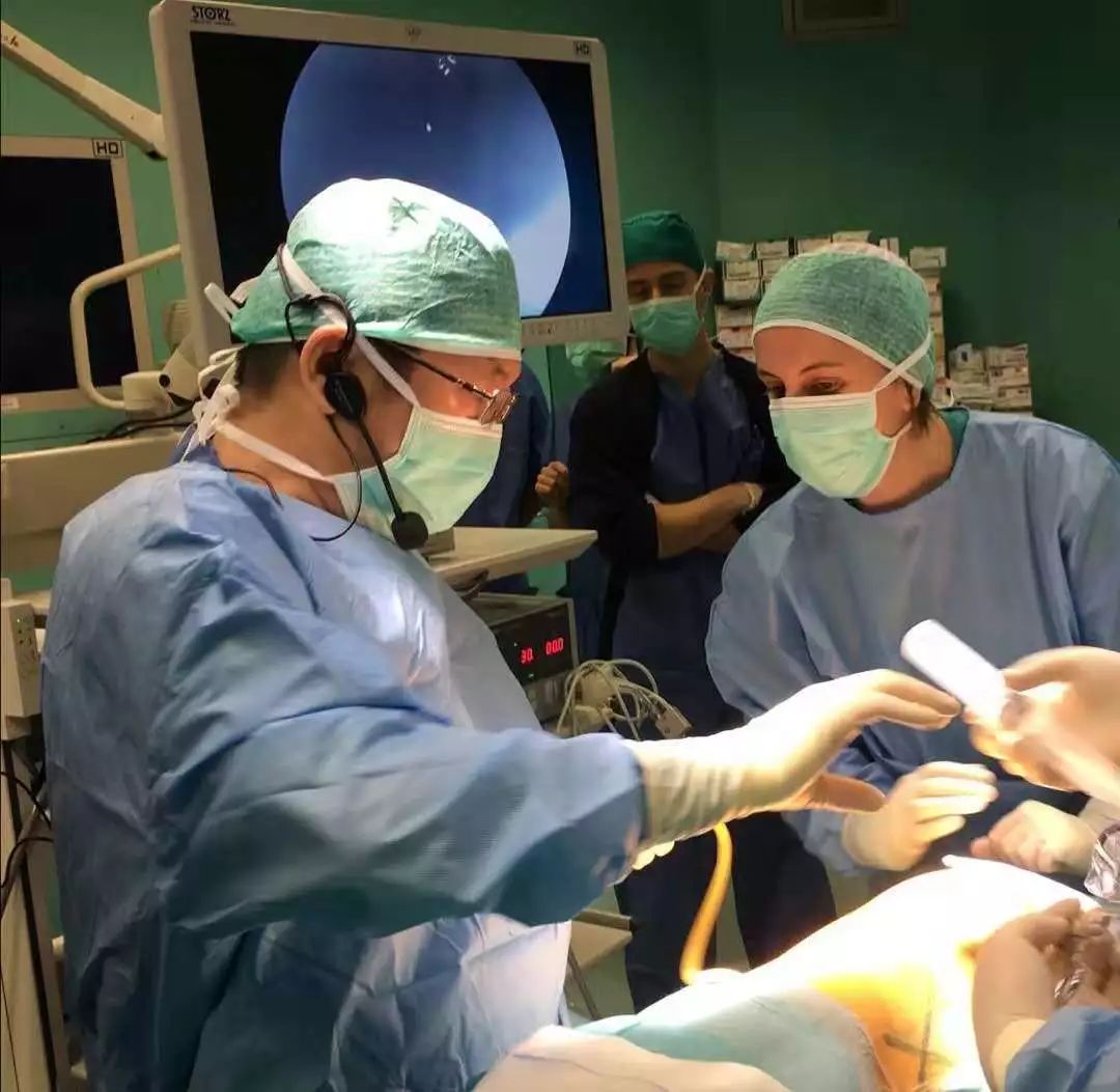 腹腔镜肾切除示意图,腹腔镜肾脏部分切除术