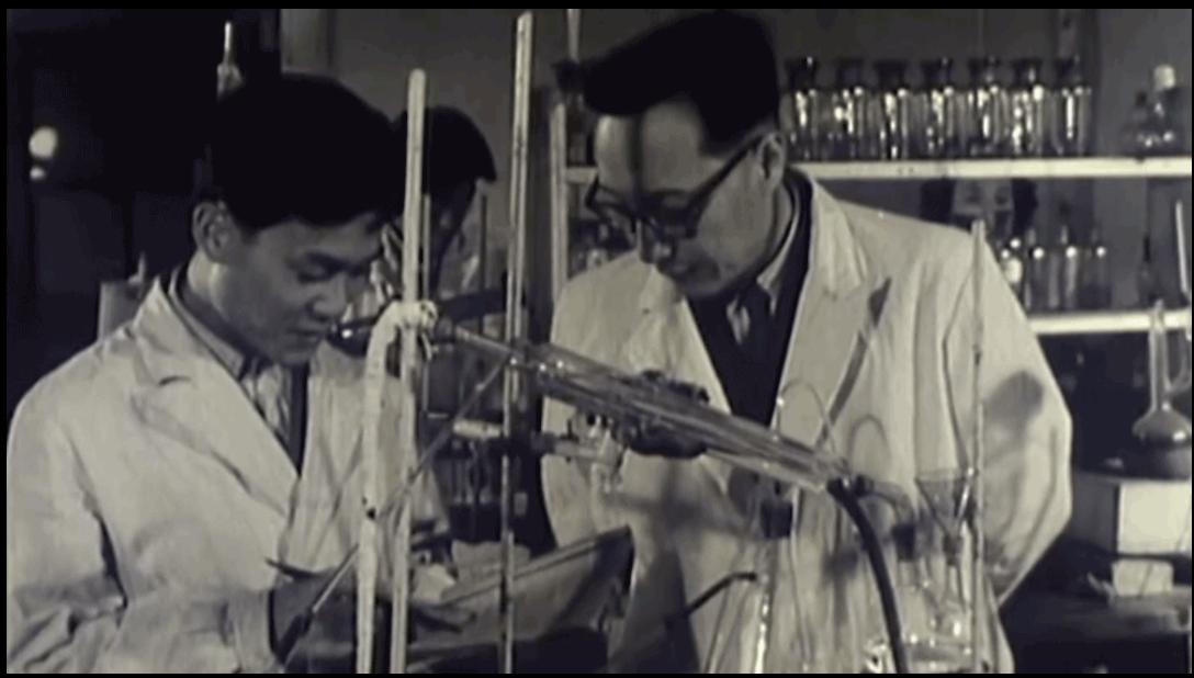 朝鲜发明的纤维,朝鲜用石头做衣服