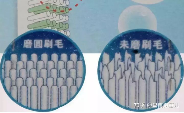 电动牙刷推荐性价比最高,儿童飞利浦牙刷和欧乐b电动牙刷